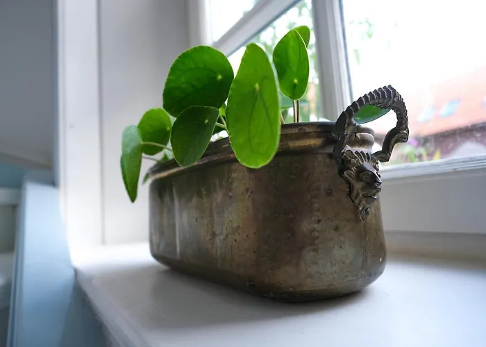 דירה Siel 40 דיצום