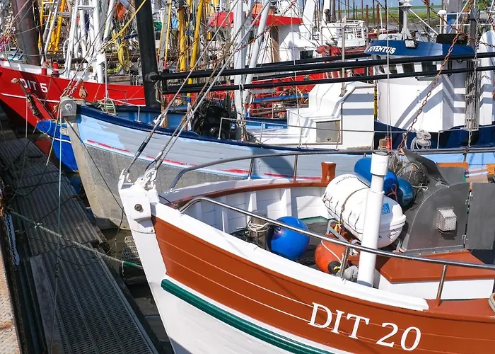 Siel 40 * דיצום